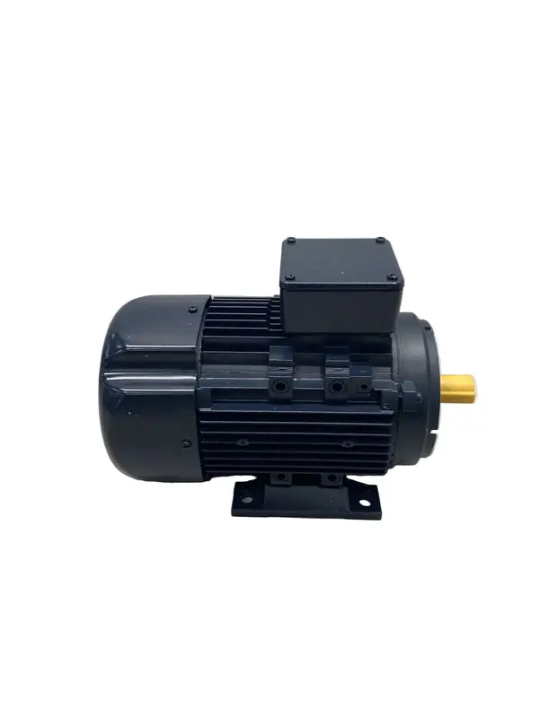 080T17fh15414 Marathon Purpose Motor 1