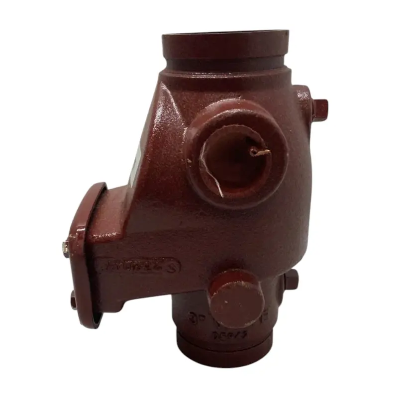 08507 Viking Check Valve F-1 1