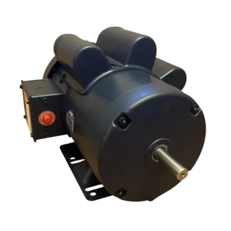 113929.00 Genuine Leeson Special Voltage Motor 110/220V 1500Rpm 1