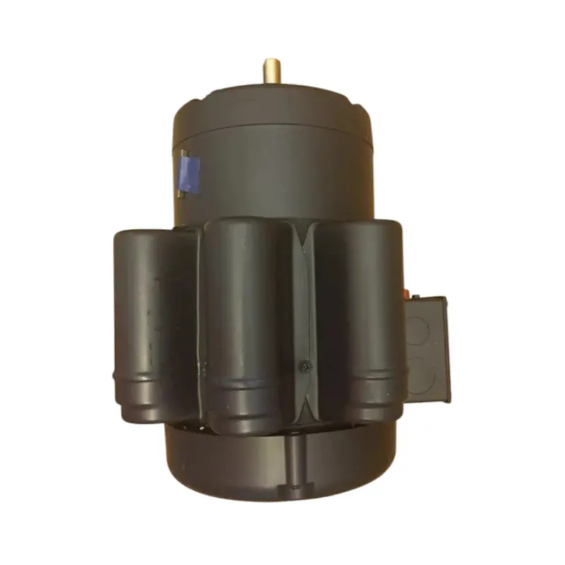 113929.00 Genuine Leeson Special Voltage Motor 110/220V 1500Rpm 2