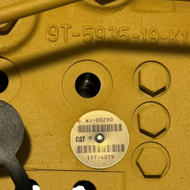 1174079 Genuine Cat Combination Valve 2