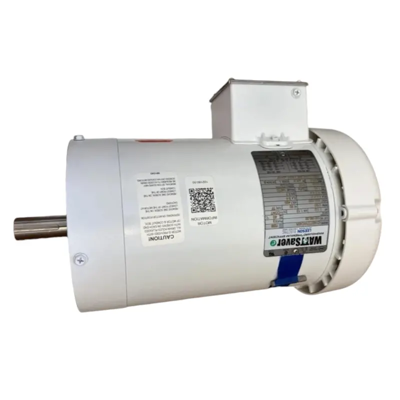 122180.00 Genuine Leeson Washdoen Motor 208-230/460V 1