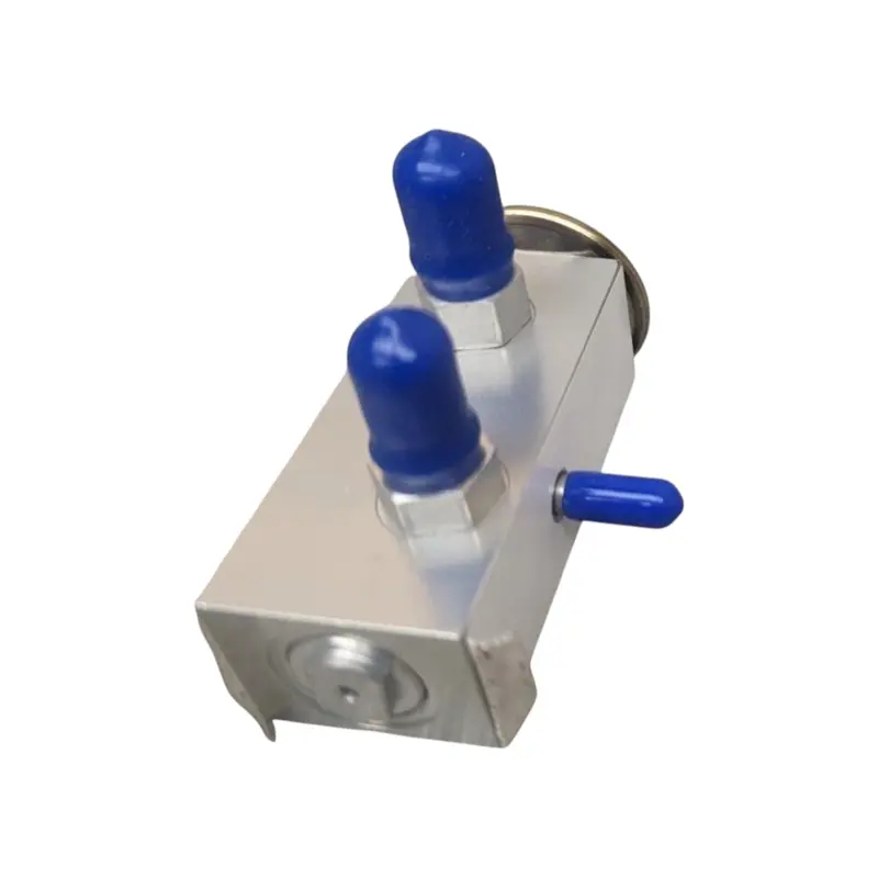 1669955-C1 Genuine International Expansion Valve 1
