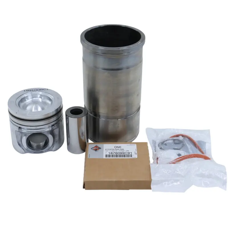 1889320C95 Genuine International Engine Piston Kit 466Ht 1