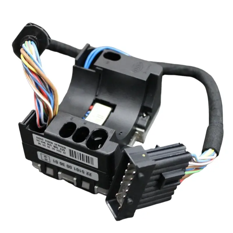2513116C1 Genuine International Control Module 2