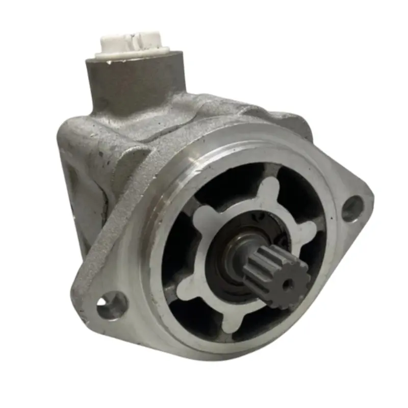 350-1002 Dayton Power Steering Pump 1