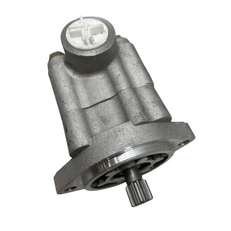 350-1002 Dayton Power Steering Pump 2