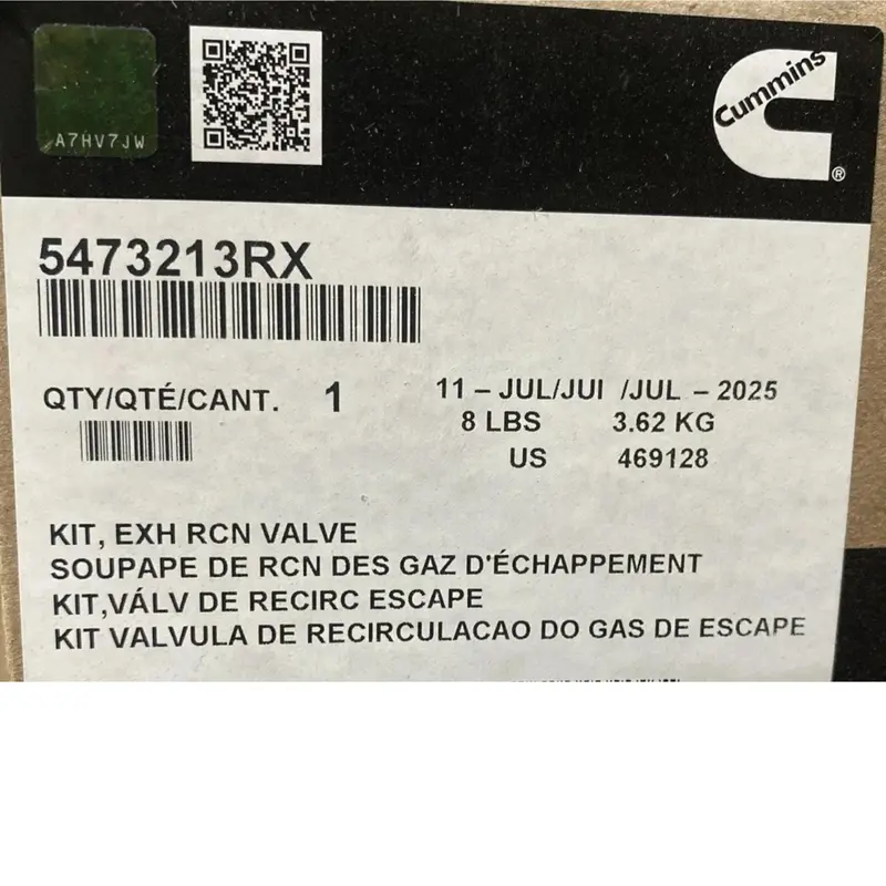 3695170 Genuine Cummins Exhaust Recirculation Valve Kit 2