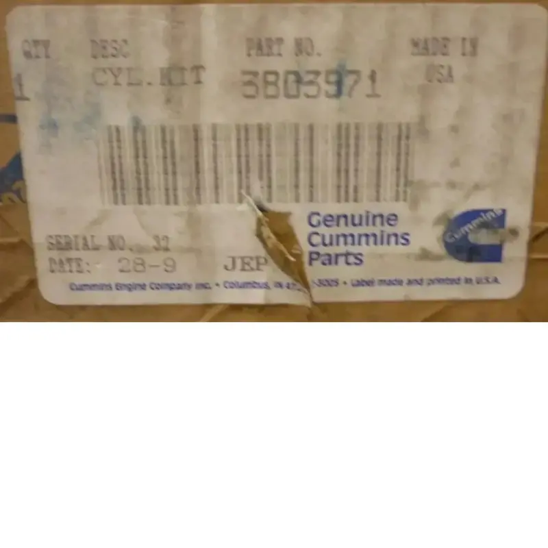 4025167 Genuine Cummins Cylinder Kit 2