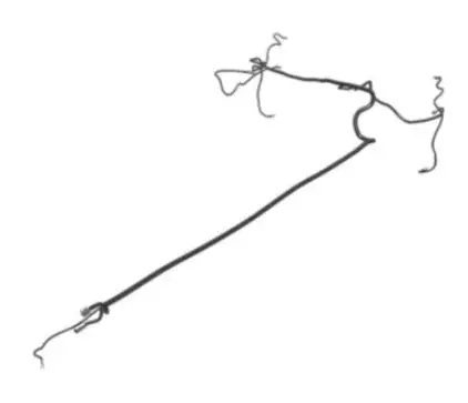 4240716 Cat Harness Assembly 1