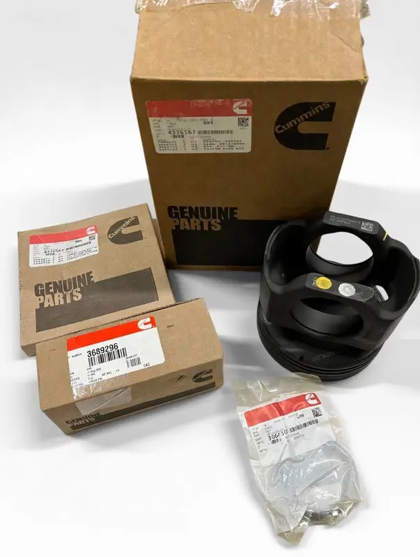 4376567 Genuine Cummins Engine Piston Kit 1