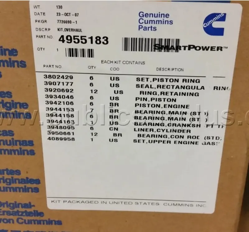 4955183 Genuine Cummins Overhaul Kit 1