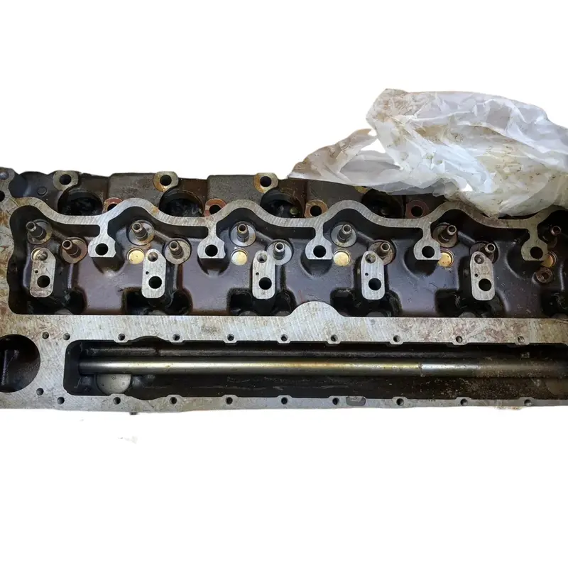 5S1884 Cat Head A D333 1