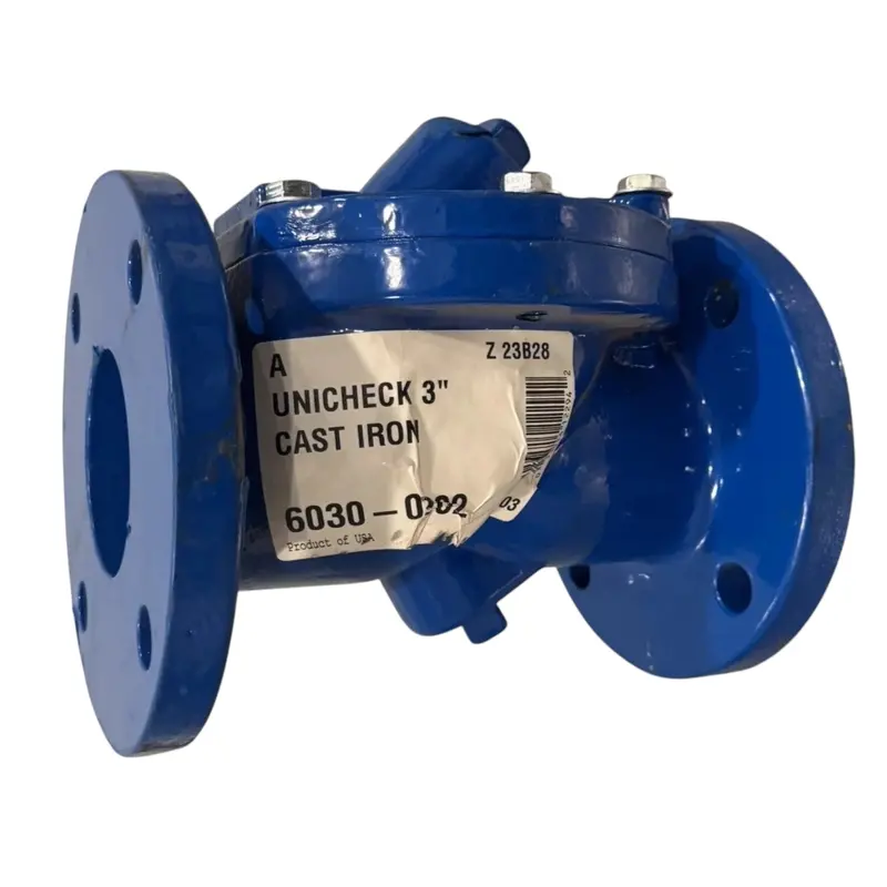 6030-0202 Zoeller Flanged Cast Iron Heavy Duty Check Valve 1