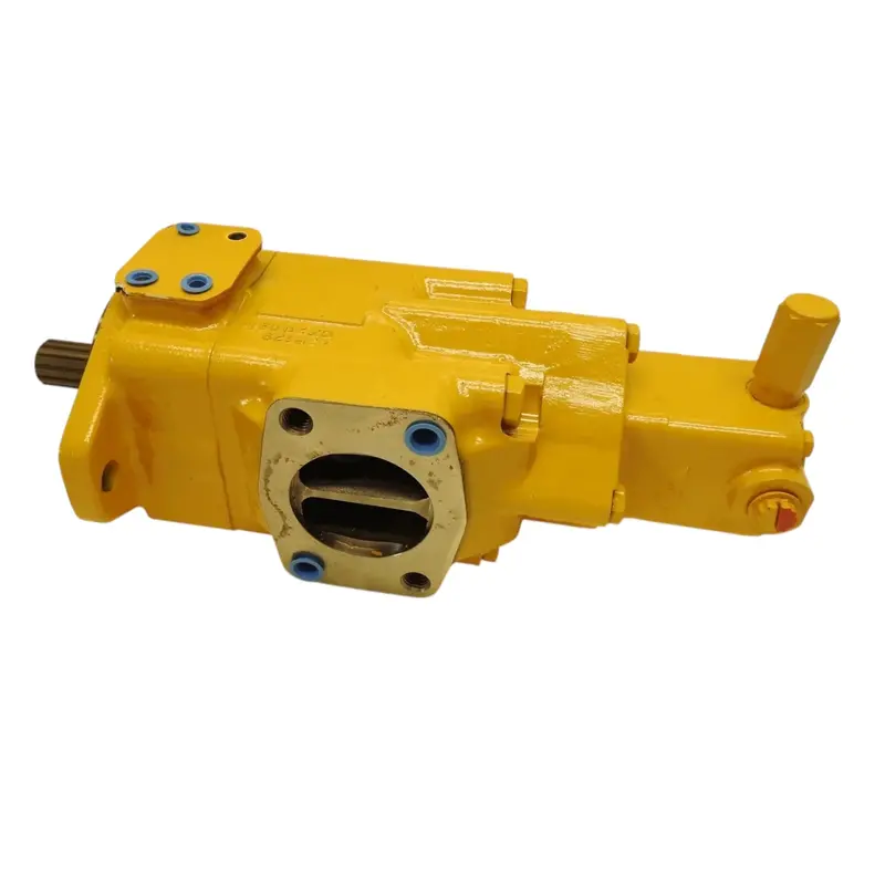 6E6659 Cat Pump G 1
