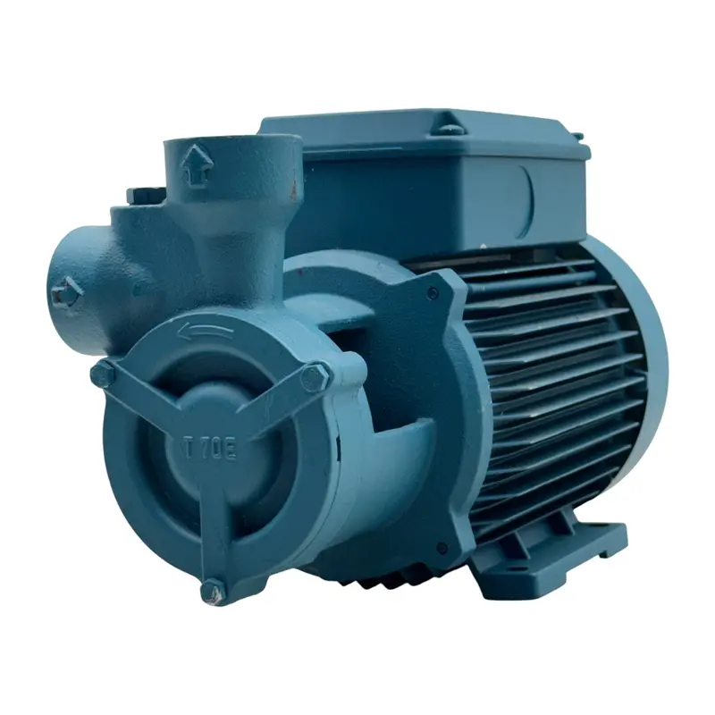 Mt2psu071496220t010 Calpeda Centrifugal Water Pump 220V 1