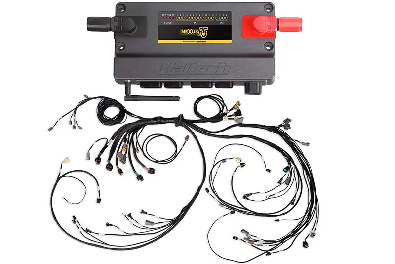 Nexus R5 + Lsx Non Dbw Terminated Harness 1