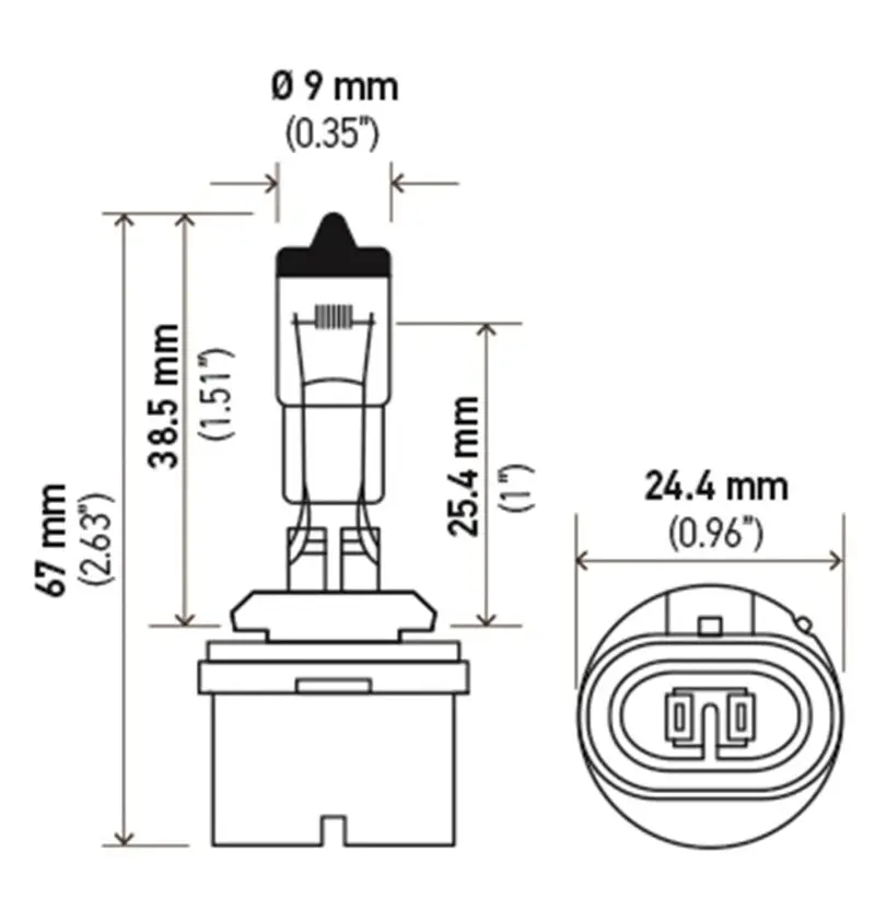 Hella 893 Replacement Bulb – 12V, 37.5W, Pg13 Base, T3.25 Size 1